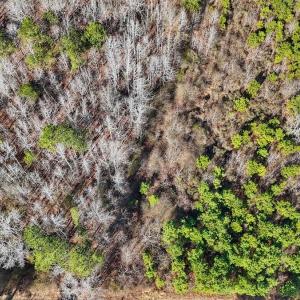Photo #19 of 125 Tarheel Rd, Windsor, NC 0.5 acres