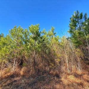 Photo #21 of 125 Tarheel Rd, Windsor, NC 0.5 acres