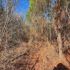 Photo #23 of 125 Tarheel Rd, Windsor, NC 0.5 acres