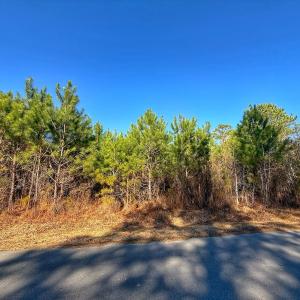 Photo #24 of 125 Tarheel Rd, Windsor, NC 0.5 acres