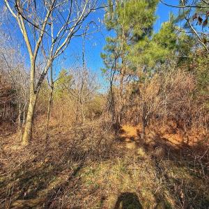 Photo #26 of 125 Tarheel Rd, Windsor, NC 0.5 acres