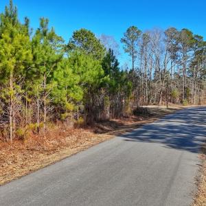 Photo #29 of 125 Tarheel Rd, Windsor, NC 0.5 acres
