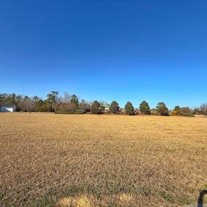 Photo #26 of 51 Meadow Lane, Arapahoe, NC 0.6 acres
