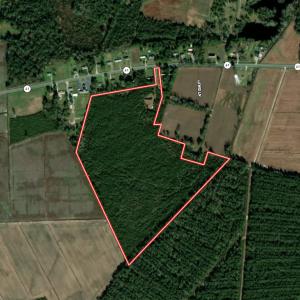 Photo #66 of Off Highway 41, Trenton, NC 50.7 acres