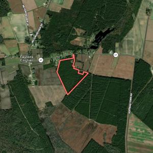 Photo #67 of Off Highway 41, Trenton, NC 50.7 acres