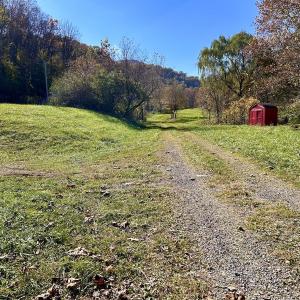 Photo #14 of Off White Rock Gap Rd, Covington, VA 302.9 acres