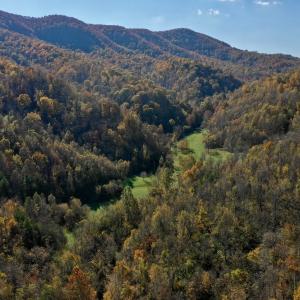 Photo #15 of Off White Rock Gap Rd, Covington, VA 302.9 acres