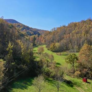 Photo #16 of Off White Rock Gap Rd, Covington, VA 302.9 acres