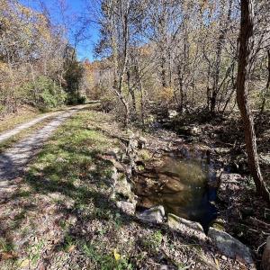 Photo #17 of Off White Rock Gap Rd, Covington, VA 302.9 acres