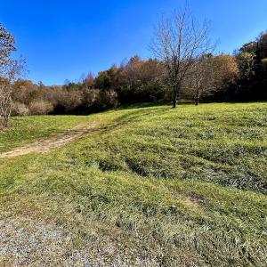 Photo #18 of Off White Rock Gap Rd, Covington, VA 302.9 acres
