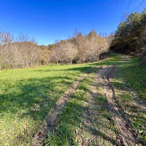 Photo #19 of Off White Rock Gap Rd, Covington, VA 302.9 acres