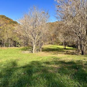 Photo #20 of Off White Rock Gap Rd, Covington, VA 302.9 acres