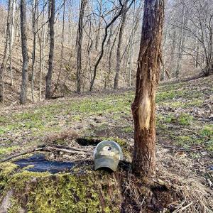 Photo #21 of Off White Rock Gap Rd, Covington, VA 302.9 acres