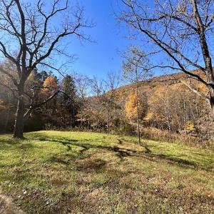 Photo #22 of Off White Rock Gap Rd, Covington, VA 302.9 acres