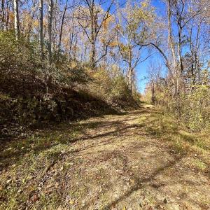 Photo #23 of Off White Rock Gap Rd, Covington, VA 302.9 acres