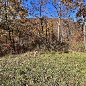 Photo #24 of Off White Rock Gap Rd, Covington, VA 302.9 acres