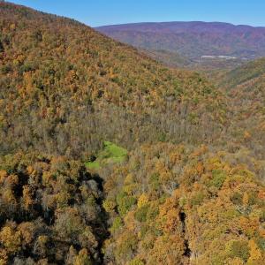 Photo #3 of Off White Rock Gap Rd, Covington, VA 302.9 acres