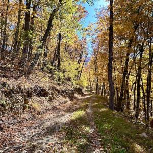Photo #25 of Off White Rock Gap Rd, Covington, VA 302.9 acres