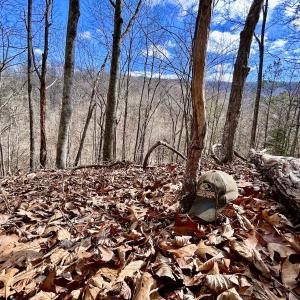Photo #26 of Off White Rock Gap Rd, Covington, VA 302.9 acres