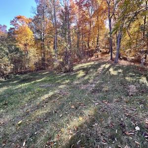 Photo #30 of Off White Rock Gap Rd, Covington, VA 302.9 acres