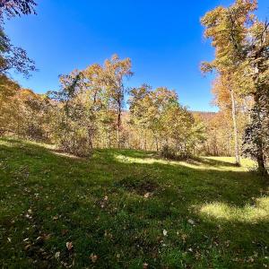 Photo #34 of Off White Rock Gap Rd, Covington, VA 302.9 acres