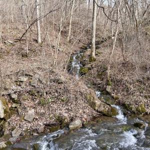Photo #35 of Off White Rock Gap Rd, Covington, VA 302.9 acres