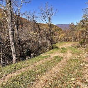 Photo #36 of Off White Rock Gap Rd, Covington, VA 302.9 acres