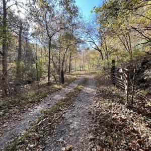Photo #4 of Off White Rock Gap Rd, Covington, VA 302.9 acres