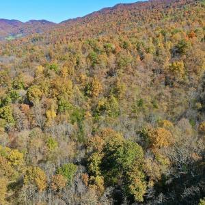 Photo #37 of Off White Rock Gap Rd, Covington, VA 302.9 acres