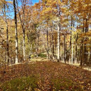 Photo #38 of Off White Rock Gap Rd, Covington, VA 302.9 acres