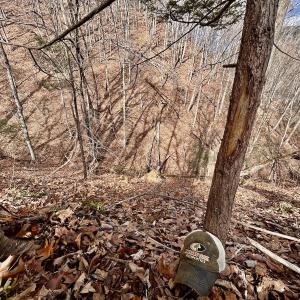 Photo #39 of Off White Rock Gap Rd, Covington, VA 302.9 acres