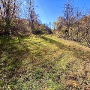 Photo #41 of Off White Rock Gap Rd, Covington, VA 302.9 acres