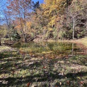 Photo #5 of Off White Rock Gap Rd, Covington, VA 302.9 acres