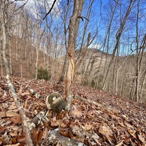 Photo #6 of Off White Rock Gap Rd, Covington, VA 302.9 acres