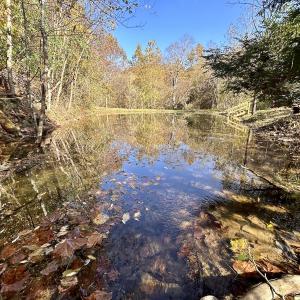 Photo #8 of Off White Rock Gap Rd, Covington, VA 302.9 acres