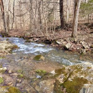 Photo #9 of Off White Rock Gap Rd, Covington, VA 302.9 acres