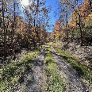 Photo #10 of Off White Rock Gap Rd, Covington, VA 302.9 acres