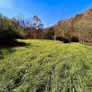 Photo #11 of Off White Rock Gap Rd, Covington, VA 302.9 acres