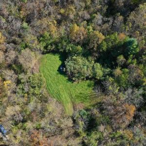 Photo #12 of Off White Rock Gap Rd, Covington, VA 302.9 acres