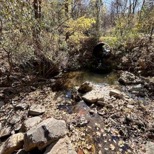 Photo #13 of Off White Rock Gap Rd, Covington, VA 302.9 acres