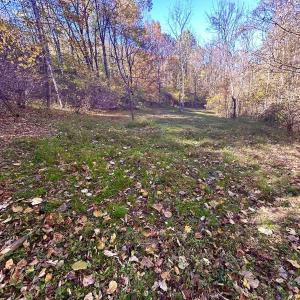 Photo #42 of Off White Rock Gap Rd, Covington, VA 302.9 acres
