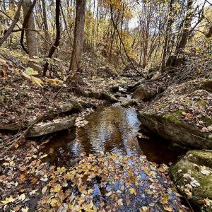 Photo #43 of Off White Rock Gap Rd, Covington, VA 302.9 acres