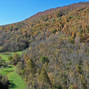 Photo #44 of Off White Rock Gap Rd, Covington, VA 302.9 acres