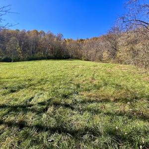 Photo #46 of Off White Rock Gap Rd, Covington, VA 302.9 acres