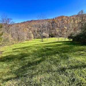 Photo #47 of Off White Rock Gap Rd, Covington, VA 302.9 acres