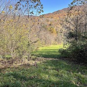 Photo #48 of Off White Rock Gap Rd, Covington, VA 302.9 acres