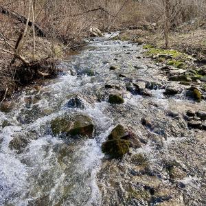 Photo #49 of Off White Rock Gap Rd, Covington, VA 302.9 acres