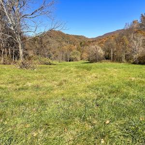 Photo #50 of Off White Rock Gap Rd, Covington, VA 302.9 acres