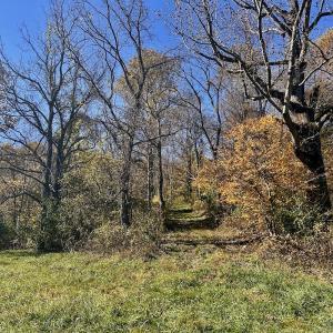 Photo #53 of Off White Rock Gap Rd, Covington, VA 302.9 acres