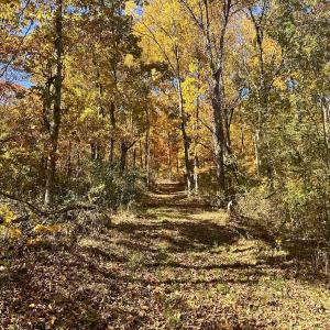 Photo #54 of Off White Rock Gap Rd, Covington, VA 302.9 acres